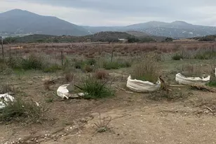 25675 Potrero Park Dr, Potrero, CA 91963 - Photo 50