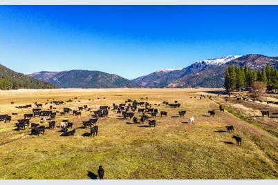 1040 N Diamond Mountain Road - Photo 1