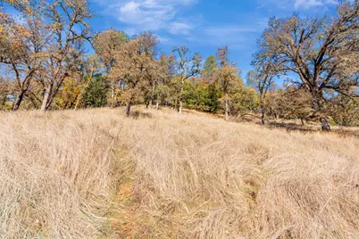 16297 Dog Bar Road, Grass Valley, CA 95949 - Photo 1