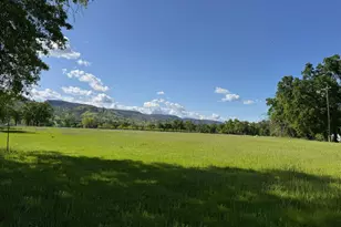 8645 County Rd 49, Guinda, CA 95637 - Photo 64