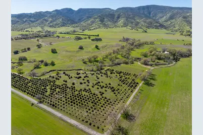 8645 County Road 49, Guinda, CA 95637 - Photo 50