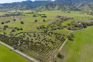 8645 County Rd 49, Guinda, CA 95637 - Photo 50