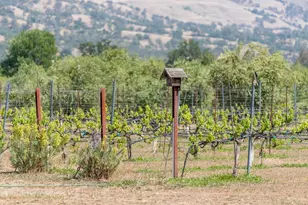 8645 County Rd 49, Guinda, CA 95637 - Photo 4