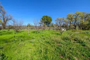 8645 County Rd 49, Guinda, CA 95637 - Photo 44