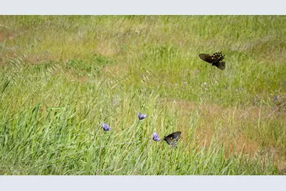 30247 Pleasant View Road, Winters, CA 95694 - Photo 20