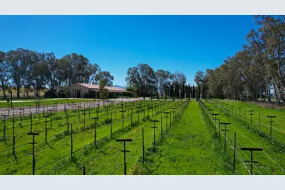 19900 Sherman Island Cross Road, Rio Vista, CA 94571 - Photo 16