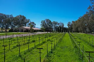 19900 Sherman Island Cross Rd, Rio Vista, CA 94571 - Photo 16