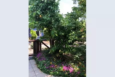 131 Full Circle, Davis, CA 95618 - Photo 46