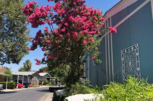 131 Full Cir, Davis, CA 95618 - Photo 50