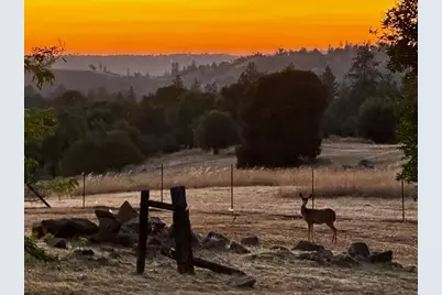 12551 Steiner Road, Plymouth, CA 95669 - Photo 14