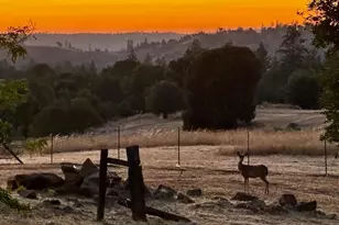 12551 Steiner Rd, Plymouth, CA 95669 - Photo 14