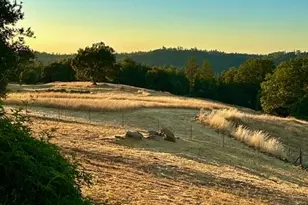 12551 Steiner Rd, Plymouth, CA 95669 - Photo 6