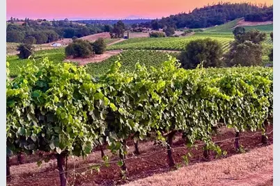 12551 Steiner Road, Plymouth, CA 95669 - Photo 10