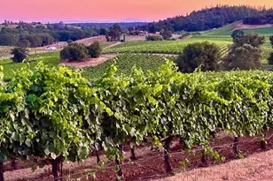 12551 Steiner Rd, Plymouth, CA 95669 - Photo 10