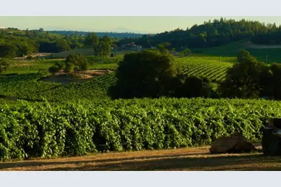 12551 Steiner Road, Plymouth, CA 95669 - Photo 8