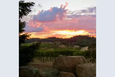 12551 Steiner Road, Plymouth, CA 95669 - Photo 16