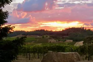 12551 Steiner Rd, Plymouth, CA 95669 - Photo 16