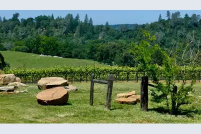 12551 Steiner Road, Plymouth, CA 95669 - Photo 4