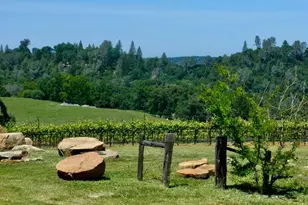 12551 Steiner Rd, Plymouth, CA 95669 - Photo 4