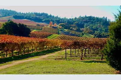 12551 Steiner Road, Plymouth, CA 95669 - Photo 18