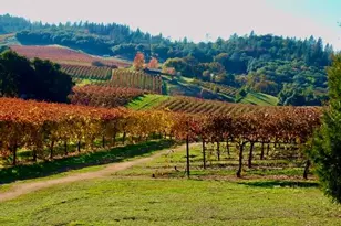 12551 Steiner Rd, Plymouth, CA 95669 - Photo 18