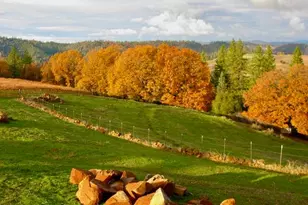 12551 Steiner Rd, Plymouth, CA 95669 - Photo 22