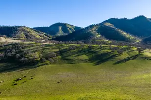 3546 Huffmaster Rd, Sites, CA 95955 - Photo 34