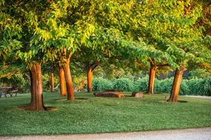 21365 Shenandoah School Rd, Plymouth, CA 95669 - Photo 26