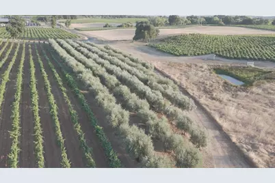 21215 Shenandoah School Road, Plymouth, CA 95669 - Photo 44