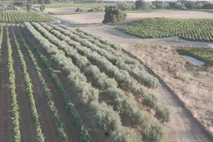 21215 Shenandoah School Rd, Plymouth, CA 95669 - Photo 44