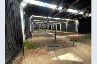 16520 County Road 56, Guinda, CA 95637 - Photo 32