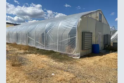 16520 County Road 56, Guinda, CA 95637 - Photo 26