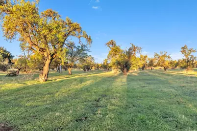 25752 State Highway 16, Esparto, CA 95627 - Photo 20