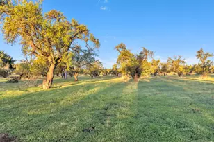 25752 State Hwy 16, Esparto, CA 95627 - Photo 20