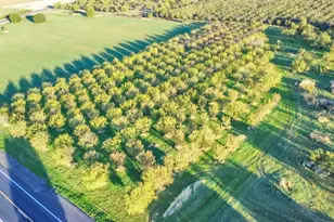 25752 State Hwy 16, Esparto, CA 95627 - Photo 34