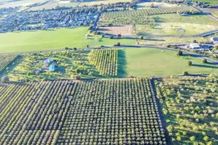 25752 State Hwy 16, Esparto, CA 95627 - Photo 52