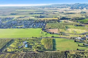 25752 State Hwy 16, Esparto, CA 95627 - Photo 54