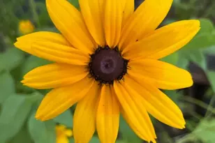 3210 Bridgeport School Rd, Fiddletown, CA 95629 - Photo 32