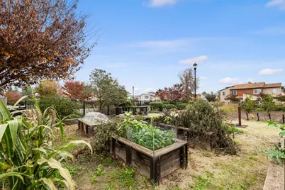 3205 Albany Terrace, Davis, CA 95618 - Photo 34