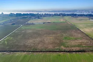 16739 Hwy 160, Isleton, CA 95641 - Photo 6