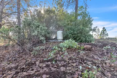 14776 La Place Lane, Dobbins, CA 95935 - Photo 6
