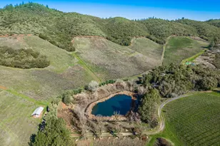 [Address not provided], Murphys, CA 95247 - Photo 18