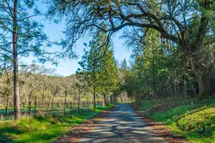 [Address not provided], Murphys, CA 95247 - Photo 72