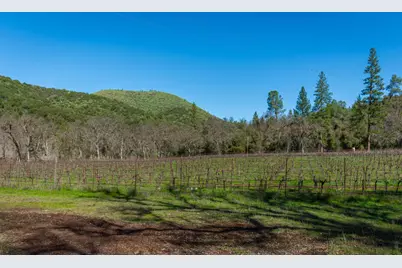 [Address not provided], Murphys, CA 95247 - Photo 66