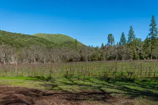 [Address not provided], Murphys, CA 95247 - Photo 66