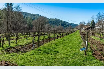 [Address not provided], Murphys, CA 95247 - Photo 64