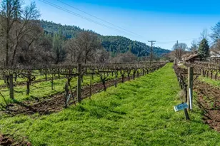 [Address not provided], Murphys, CA 95247 - Photo 64