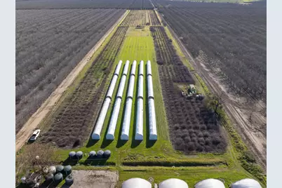 33543 County Road 13, Zamora, CA 95698 - Photo 30