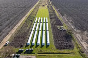 33543 Co Rd 13, Zamora, CA 95698 - Photo 30