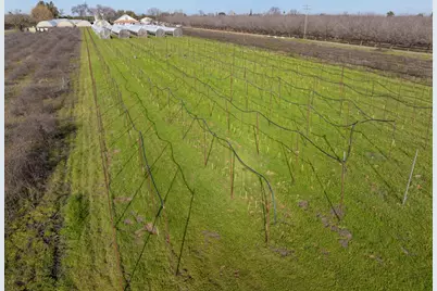 33543 County Road 13, Zamora, CA 95698 - Photo 34